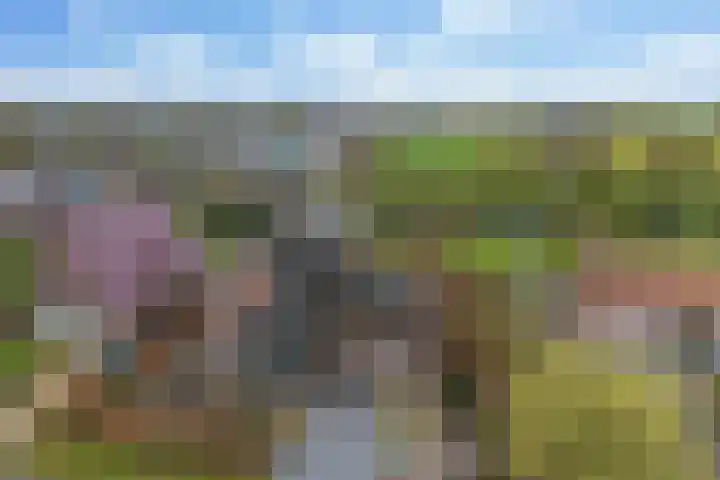 Kemperweg 5 Markelo thumbnail 45