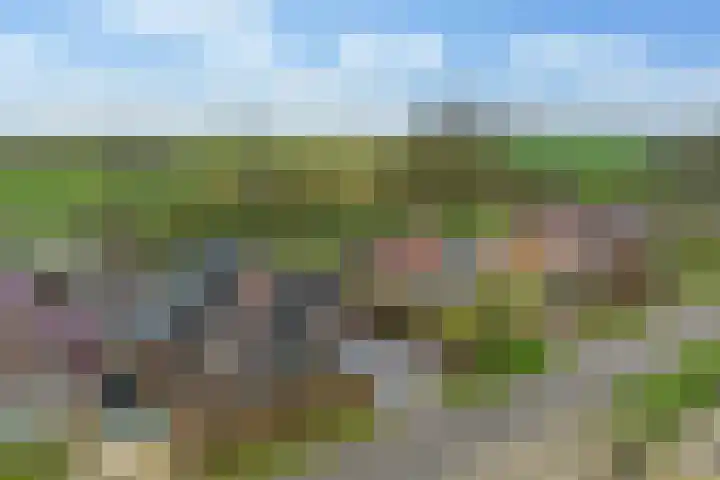 Kemperweg 5 Markelo thumbnail 46