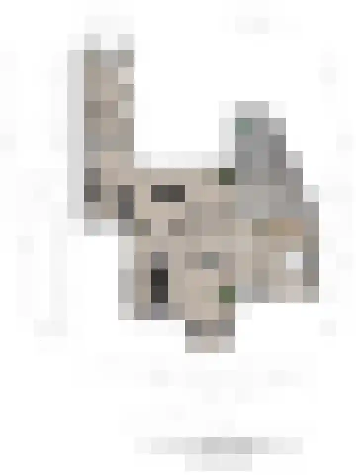 Kemperweg 5 Markelo thumbnail 48