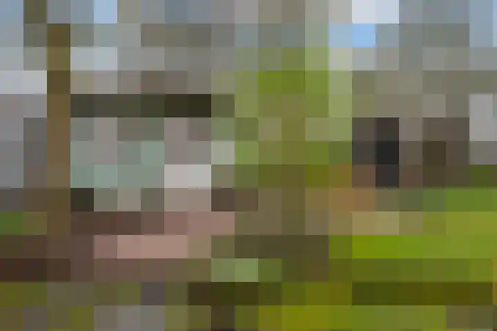 Kemperweg 5 Markelo thumbnail 7