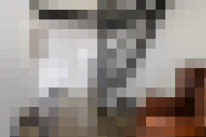 Kemperweg 5 Markelo thumbnail 8
