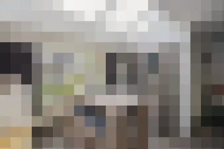 Kemphaan 16 Raalte thumbnail 10