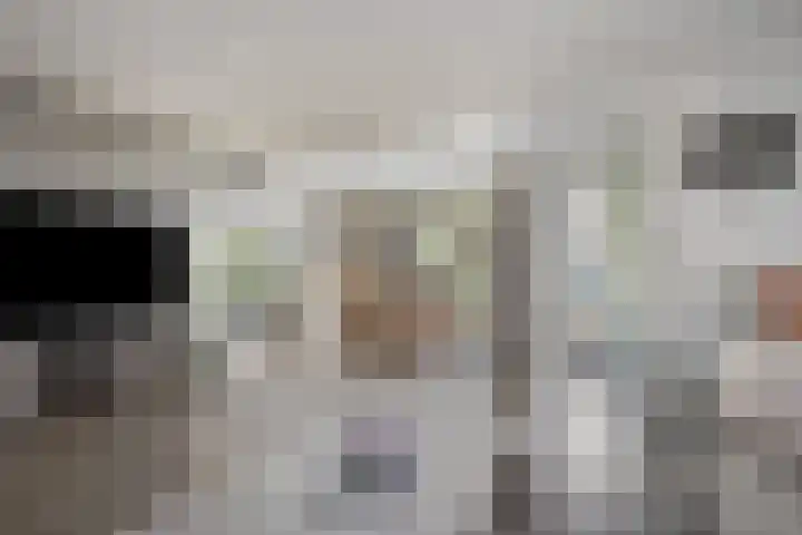 Kemphaan 16 Raalte thumbnail 11
