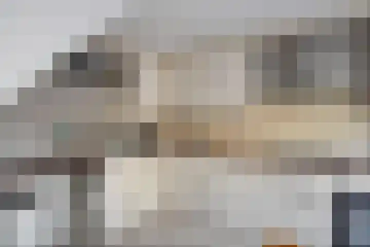 Kemphaan 16 Raalte thumbnail 13