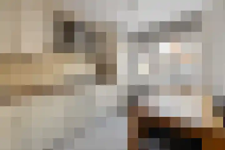 Kemphaan 16 Raalte thumbnail 14