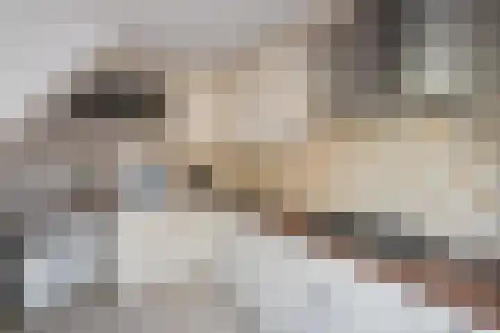 Kemphaan 16 Raalte thumbnail 15