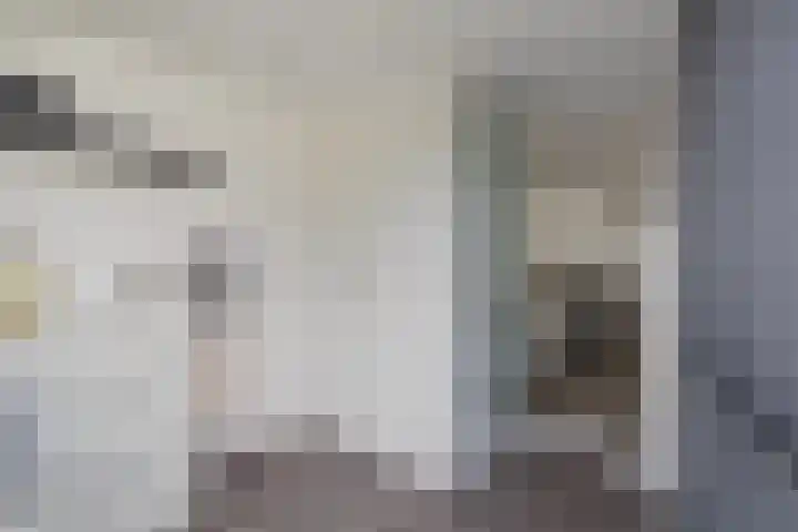 Kemphaan 16 Raalte thumbnail 16