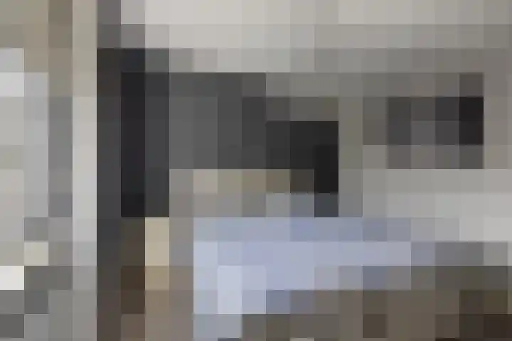 Kemphaan 16 Raalte thumbnail 18