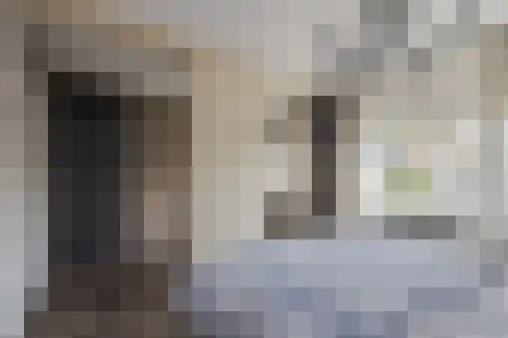Kemphaan 16 Raalte thumbnail 19