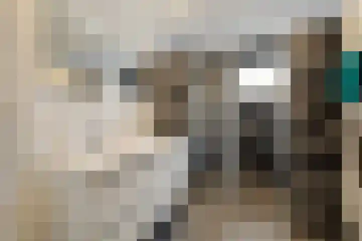 Kemphaan 16 Raalte thumbnail 21