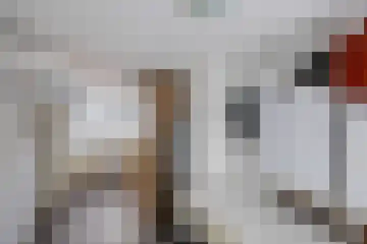 Kemphaan 16 Raalte thumbnail 28
