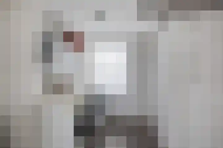 Kemphaan 16 Raalte thumbnail 29