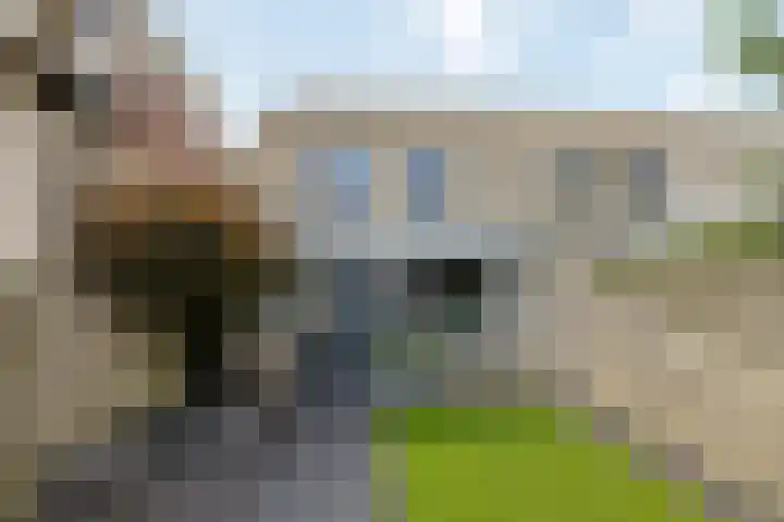 Kemphaan 16 Raalte thumbnail 30