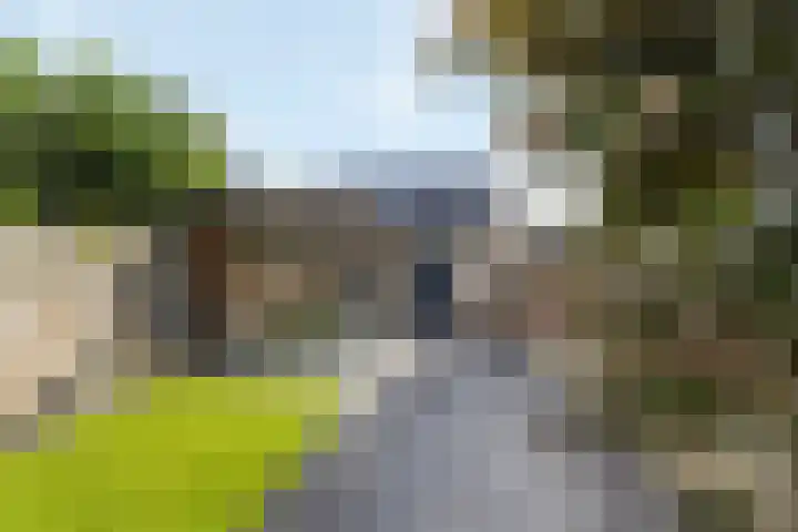 Kemphaan 16 Raalte thumbnail 32