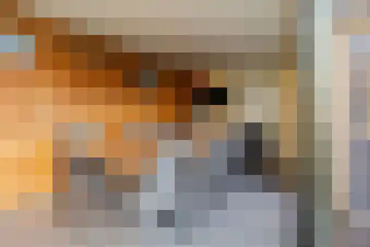 Kemphaan 16 Raalte thumbnail 33