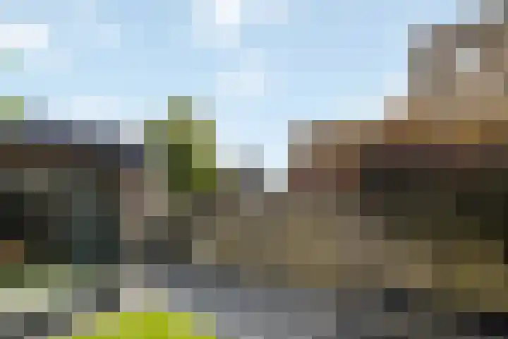 Kemphaan 16 Raalte thumbnail 34