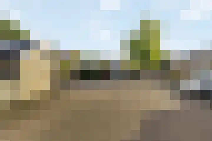 Kemphaan 16 Raalte thumbnail 35