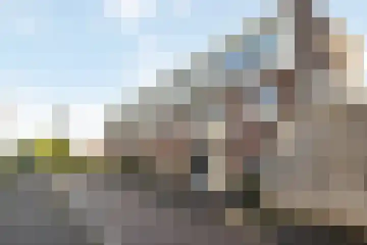 Kemphaan 16 Raalte thumbnail 5