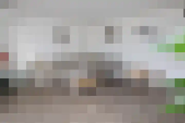 Kemphaan 16 Raalte thumbnail 6
