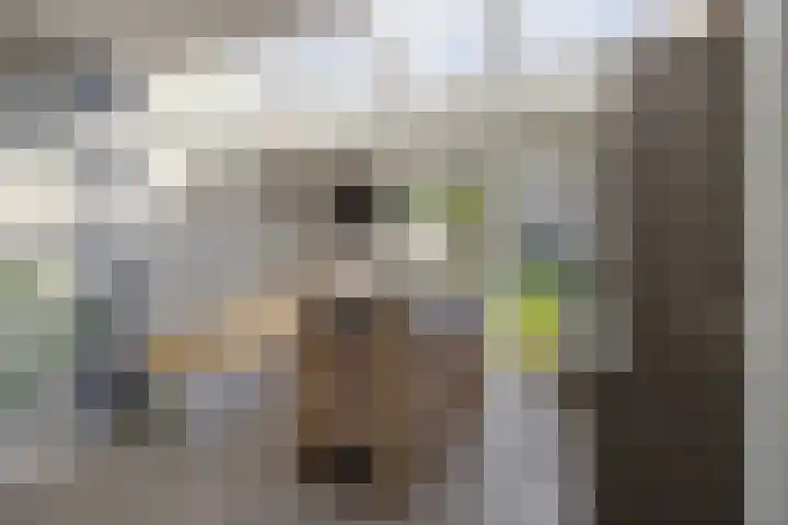 Kemphaan 16 Raalte thumbnail 9