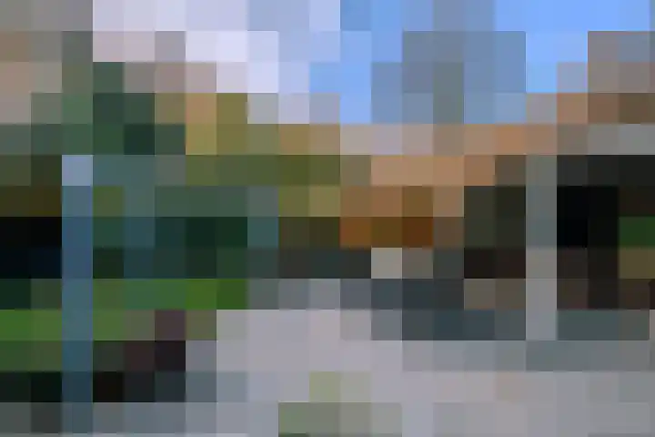 Kemphaan 4 Veldhoven thumbnail 13