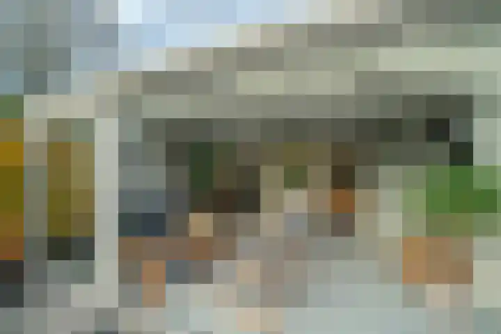 Kemphaan 4 Veldhoven thumbnail 14