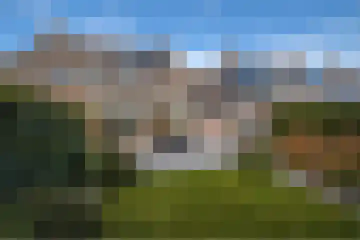 Kemphaan 4 Veldhoven thumbnail 16