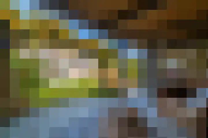 Kemphaan 4 Veldhoven thumbnail 17
