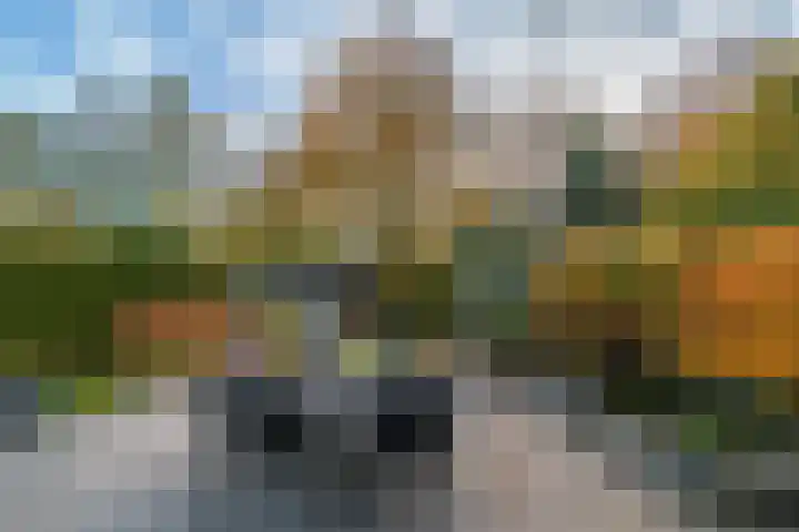 Kemphaan 4 Veldhoven thumbnail 20