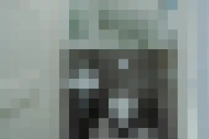Kemphaan 4 Veldhoven thumbnail 22