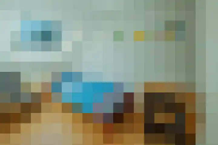 Kemphaan 4 Veldhoven thumbnail 26