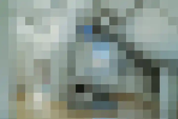 Kemphaan 4 Veldhoven thumbnail 33