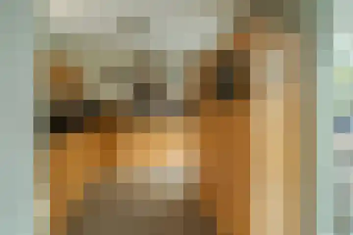 Kemphaan 4 Veldhoven thumbnail 4