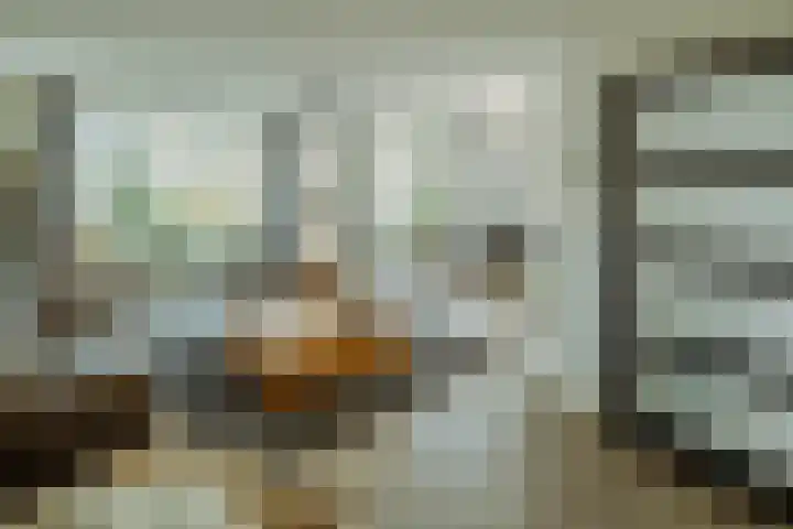 Kemphaan 4 Veldhoven thumbnail 7