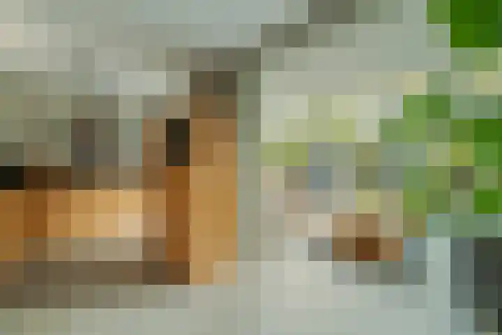Kemphaan 4 Veldhoven thumbnail 9