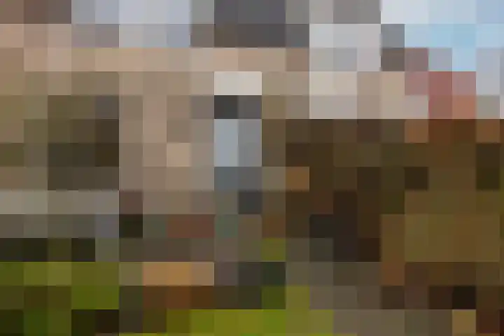 Kemphaan 43 Veldhoven thumbnail 31