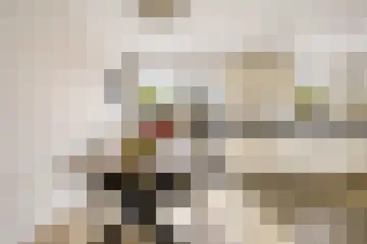 Kemphaanweide 24 Houten thumbnail 13