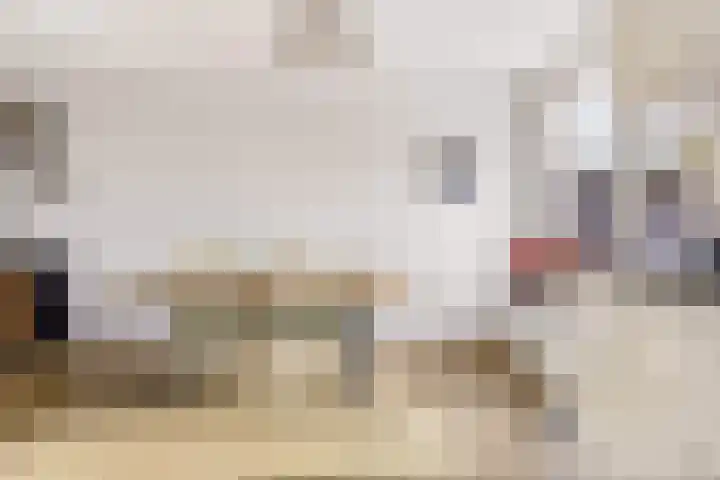 Kemphaanweide 24 Houten thumbnail 15