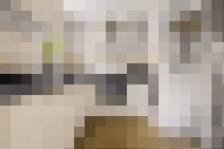 Kemphaanweide 24 Houten thumbnail 17