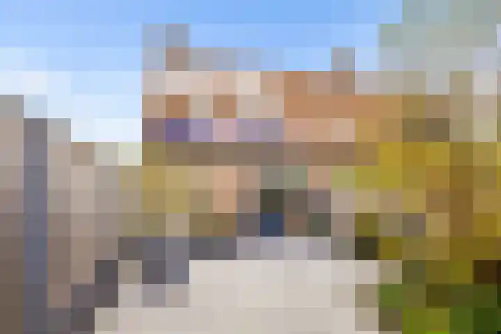 Kemphaanweide 24 Houten thumbnail 34