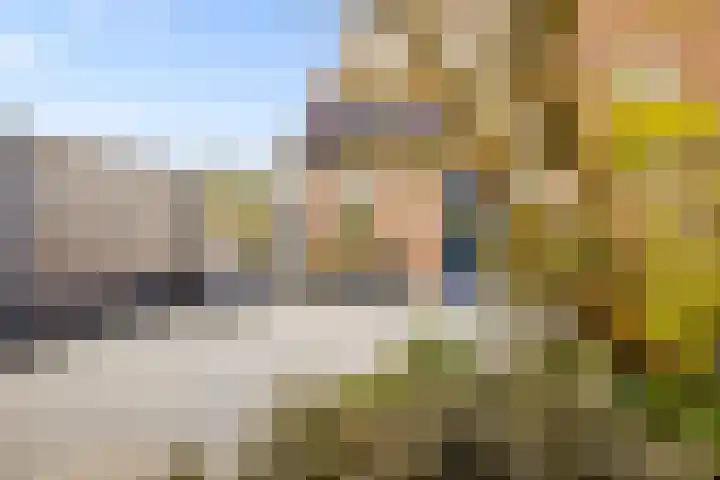 Kemphaanweide 24 Houten thumbnail 35