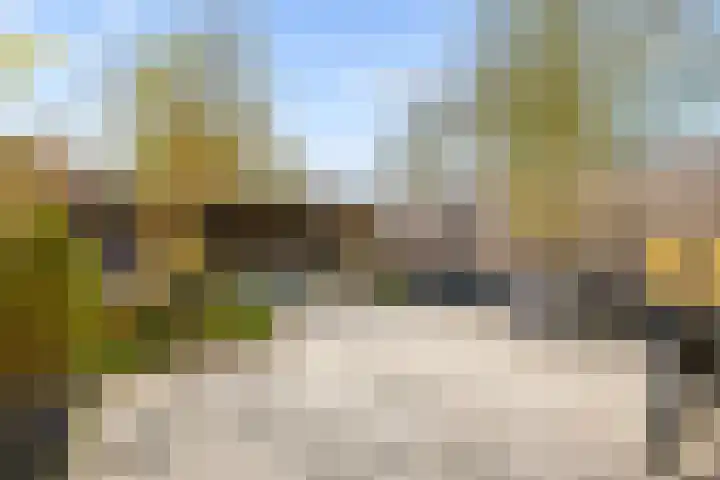 Kemphaanweide 24 Houten thumbnail 36