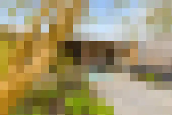 Kemphaanweide 24 Houten thumbnail 37