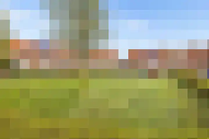 Kemphaanweide 24 Houten thumbnail 45