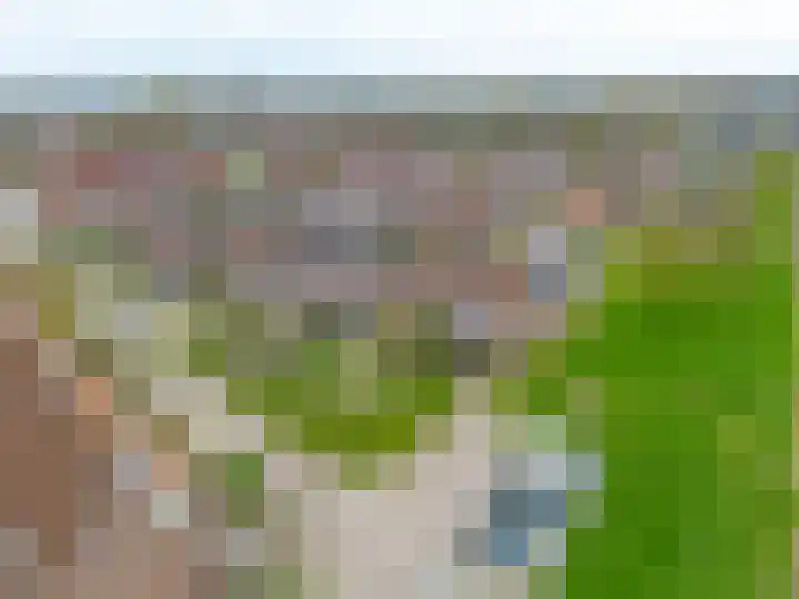 Kemphaanweide 24 Houten thumbnail 48