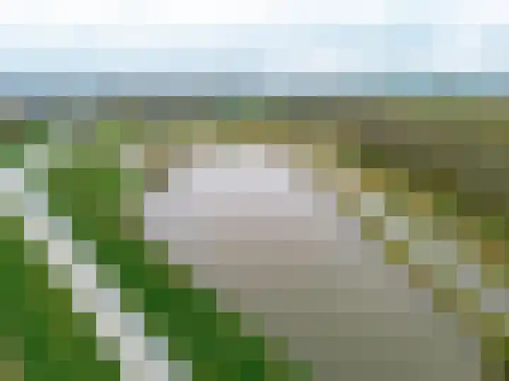Kemphaanweide 24 Houten thumbnail 50