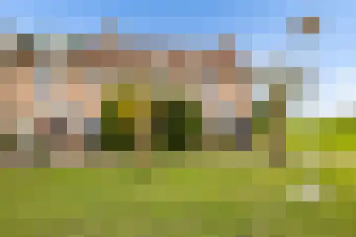 Kemphaanweide 24 Houten thumbnail 7