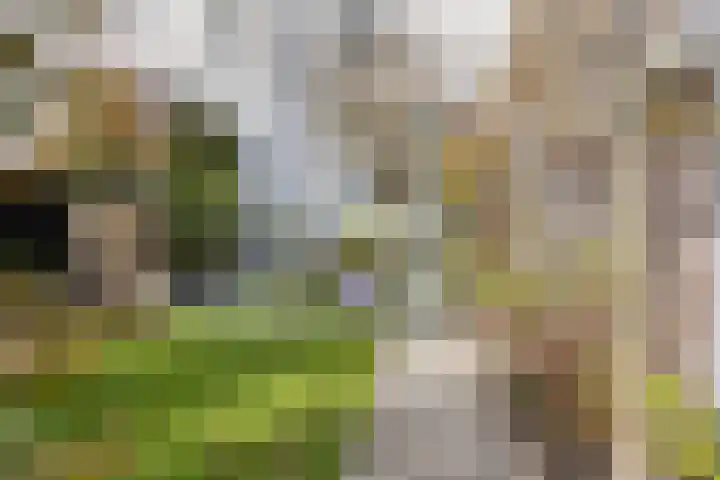 Kenaupark 25 Haarlem thumbnail 41