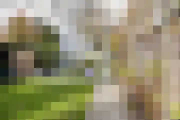 Kenaupark 25 Haarlem thumbnail 42