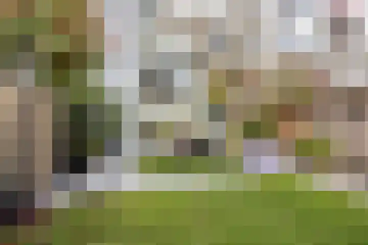 Kenaupark 25 Haarlem thumbnail 43